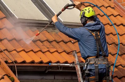 Démoussage et hydrofuge de toiture à Peyrelongue-Abos